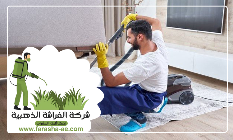 شركة تنظيف فلل