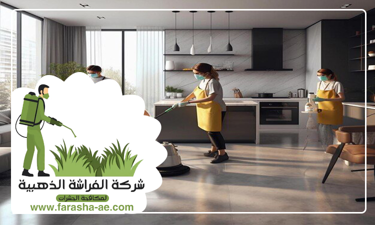 شركة تنظيف فلل في العين 4 شركة تنظيف فلل في العين