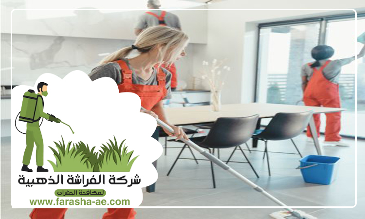 شركة تنظيف فلل في ابوظبي 5 شركة تنظيف فلل في ابوظبي