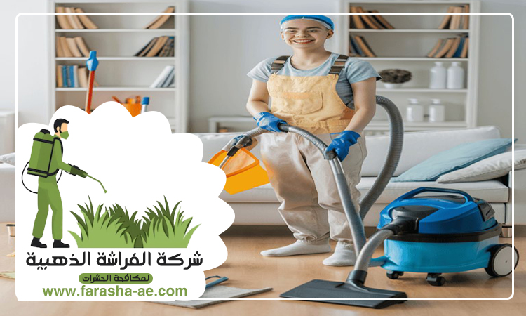 شركة تنظيف فلل