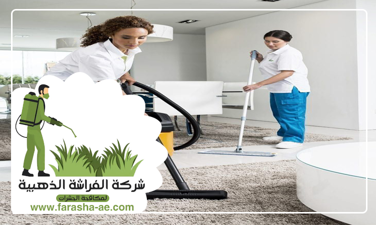 شركة تنظيف فلل