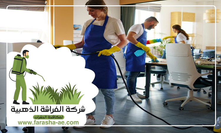 شركة تنظيف فلل في ام القيوين 4 شركة تنظيف فلل في ام القيوين