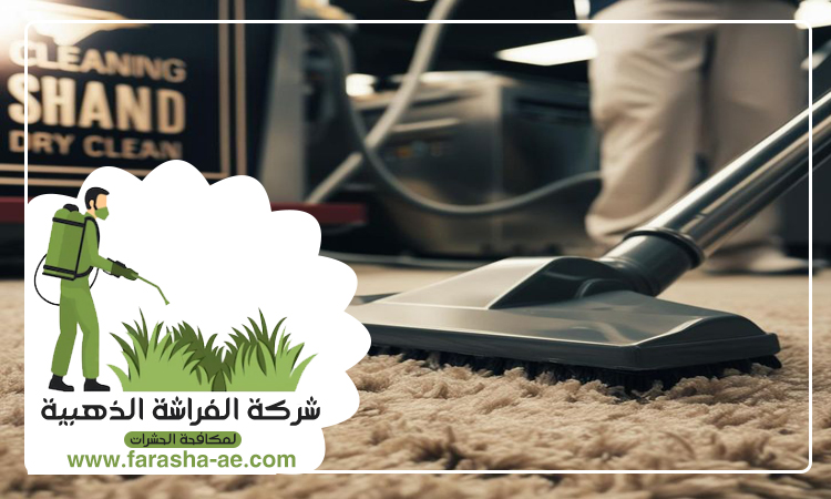 شركة تنظيف سجاد