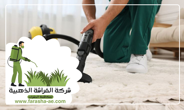 شركة تنظيف سجاد في ام القيوين 2 شركة تنظيف سجاد