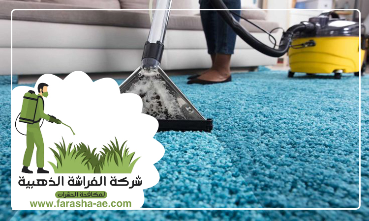شركة تنظيف سجاد في دبي 4 شركة تنظيف سجاد في دبي