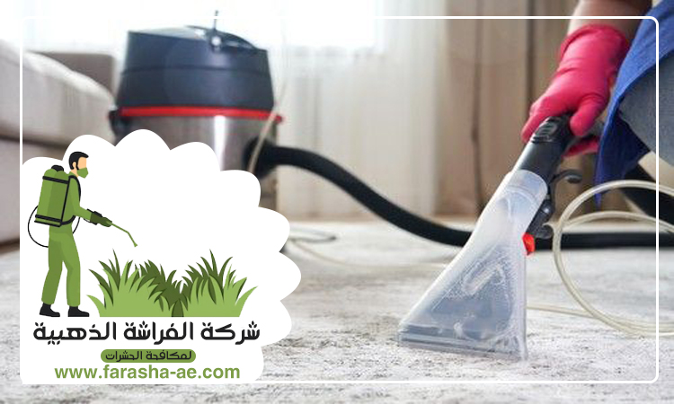 شركة تنظيف سجاد في ام القيوين 4 شركة تنظيف سجاد في ام القيوين