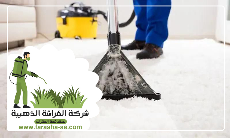 شركة تنظيف سجاد في راس الخيمة 3 شركة تنظيف سجاد في راس الخيمة