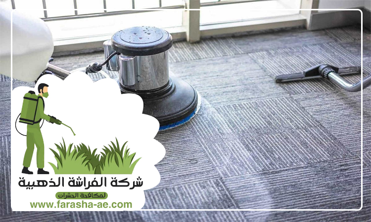 شركة تنظيف سجاد في دبي 5 شركة تنظيف سجاد في دبي