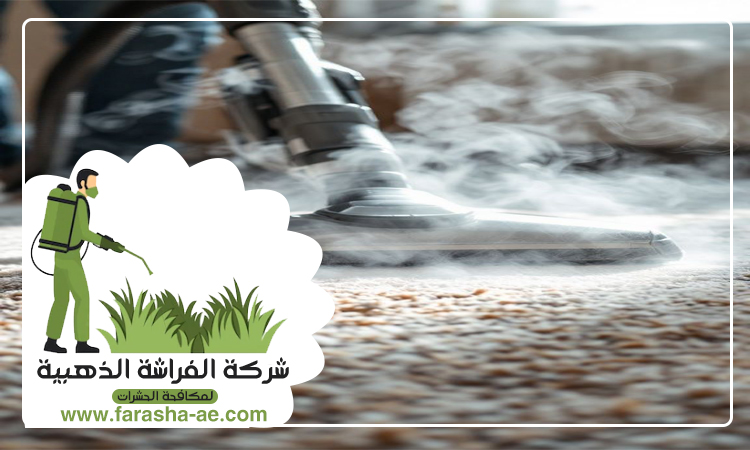 شركة تنظيف سجاد في الفجيرة 4 شركة تنظيف سجاد في الفجيرة