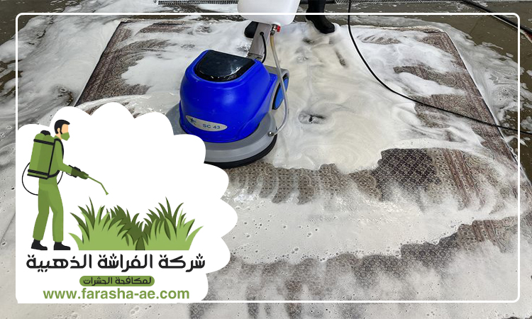 شركة تنظيف سجاد في العين 4 شركة تنظيف سجاد في العين