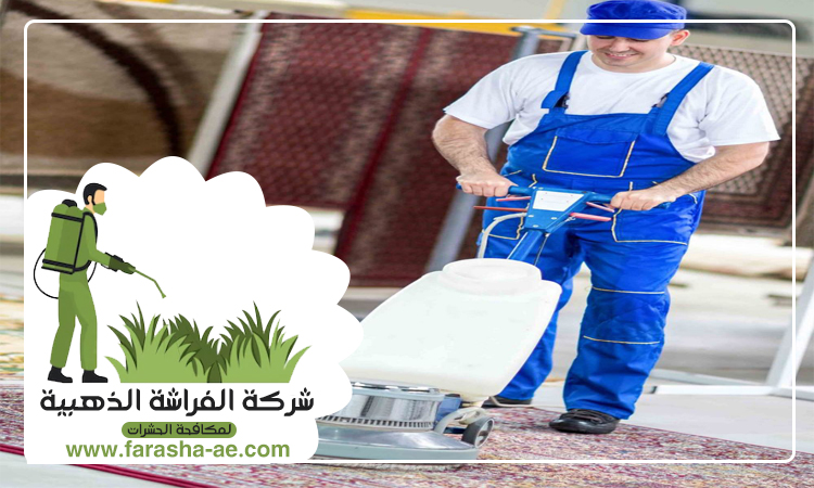 شركة تنظيف سجاد في راس الخيمة 5 شركة تنظيف سجاد في راس الخيمة