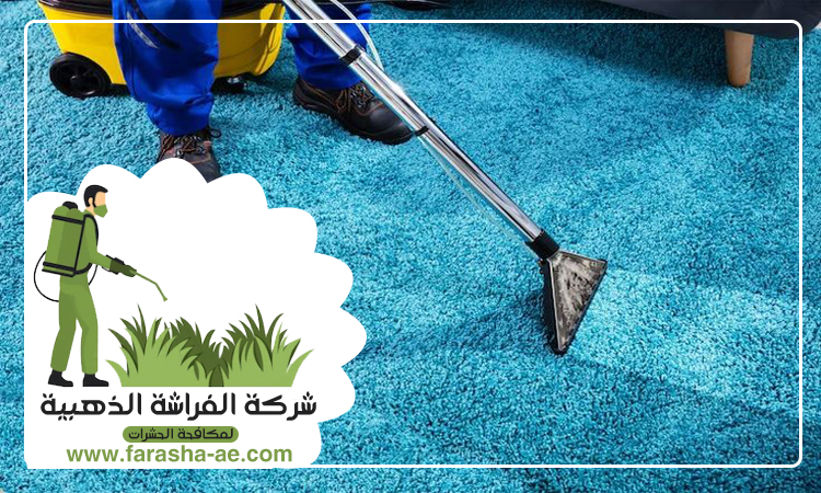 شركة تنظيف سجاد في عجمان 5 شركة تنظيف سجاد في عجمان