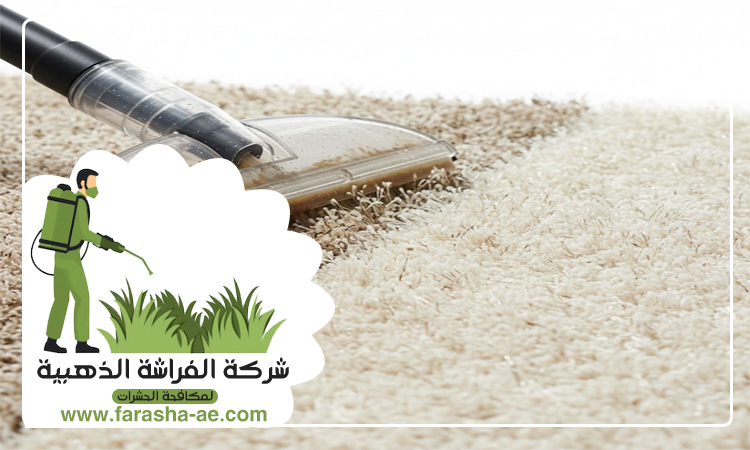 شركة تنظيف سجاد في راس الخيمة 4 شركة تنظيف سجاد في راس الخيمة
