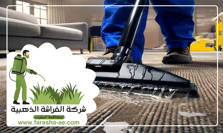 شركة تنظيف سجاد