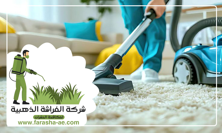 شركة تنظيف سجاد