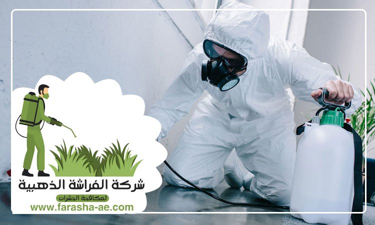 شركة مكافحة حشرات في دبي 4 شركة مكافحة حشرات في دبي