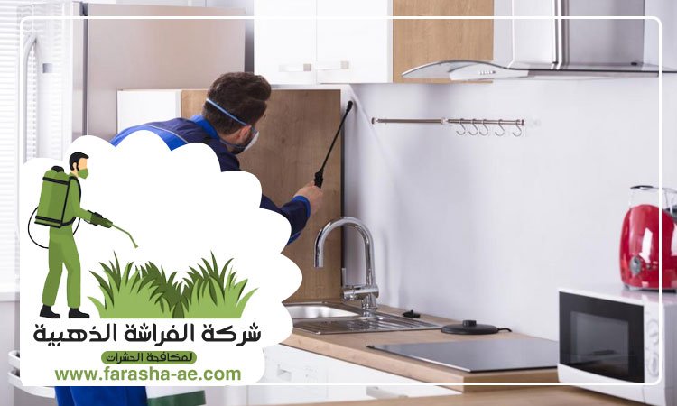 شركة مكافحة حشرات في دبي 3 شركة مكافحة حشرات في دبي